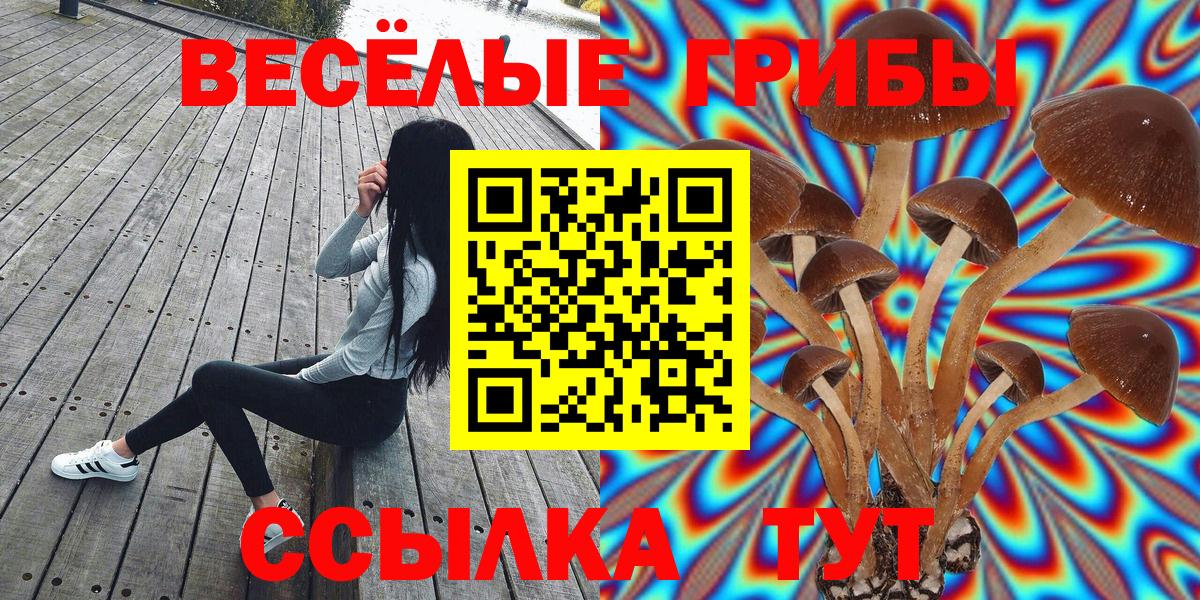 цены   Вход с VPN  Ефремов  Псилоцибиновые грибы MAGIC MUSHROOMS 