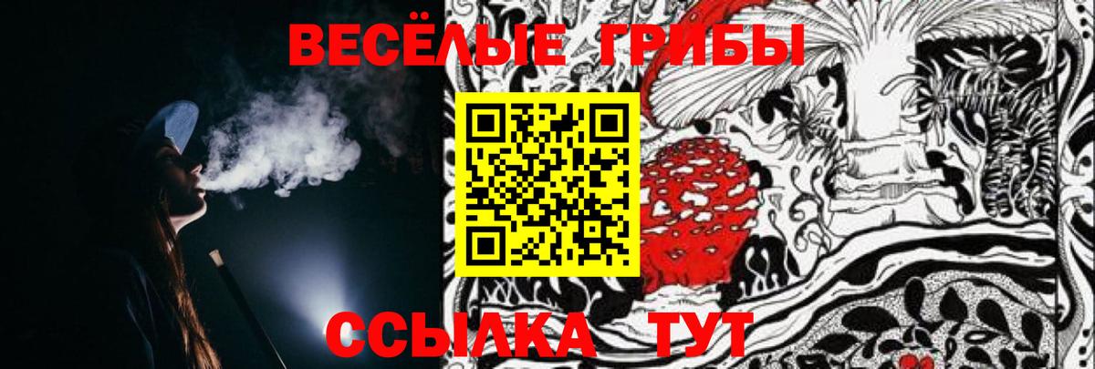 Галлюциногенные грибы Psilocybe Ефремов