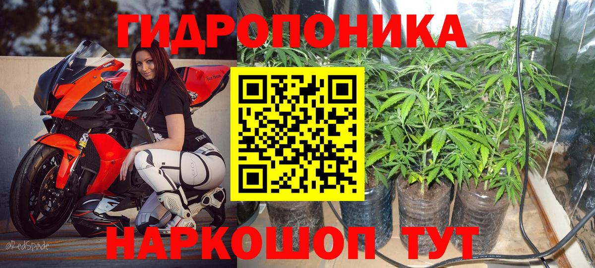 Каннабис Ефремов